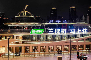 地標(biāo)廣告聯(lián)動(dòng)游輪廣告，三棵樹(shù)品牌驚爆上海外灘!