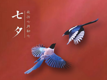 七夕節(jié)，你秀恩愛了嗎?