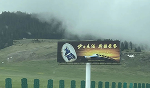 新疆高速立柱大牌廣告案例，烏魯木齊高速廣告酒類廣告案例