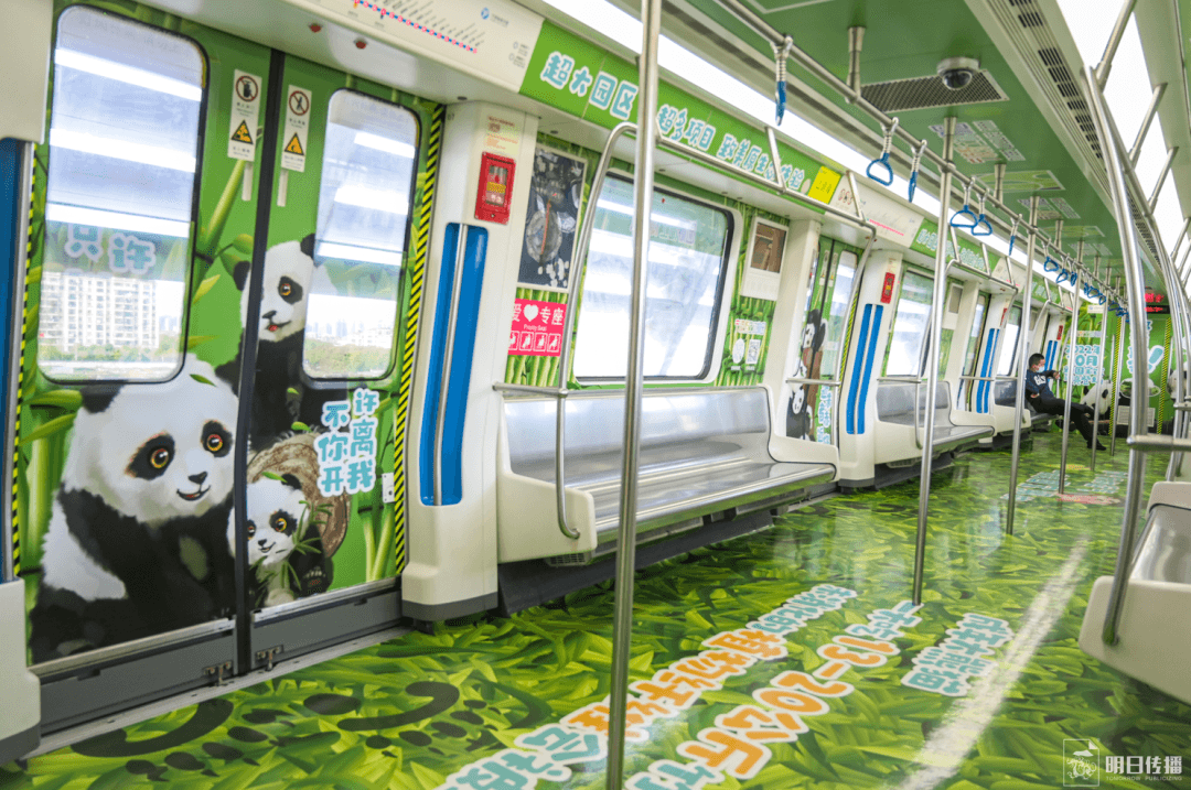 寧波地鐵車廂廣告價(jià)格多少錢？寧波地鐵廣告經(jīng)典全包車案例動(dòng)物園