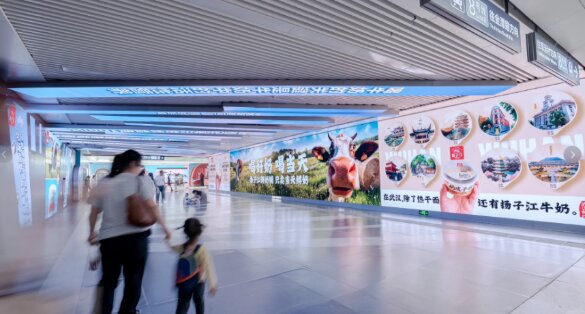 揚(yáng)子江鮮牛奶-武漢地鐵廣告